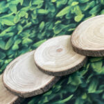 12” Sliced Log Wooden Plates